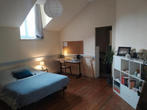 Chambre dans appartement de caractère
